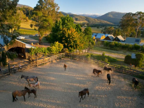 Hotels in Tawonga